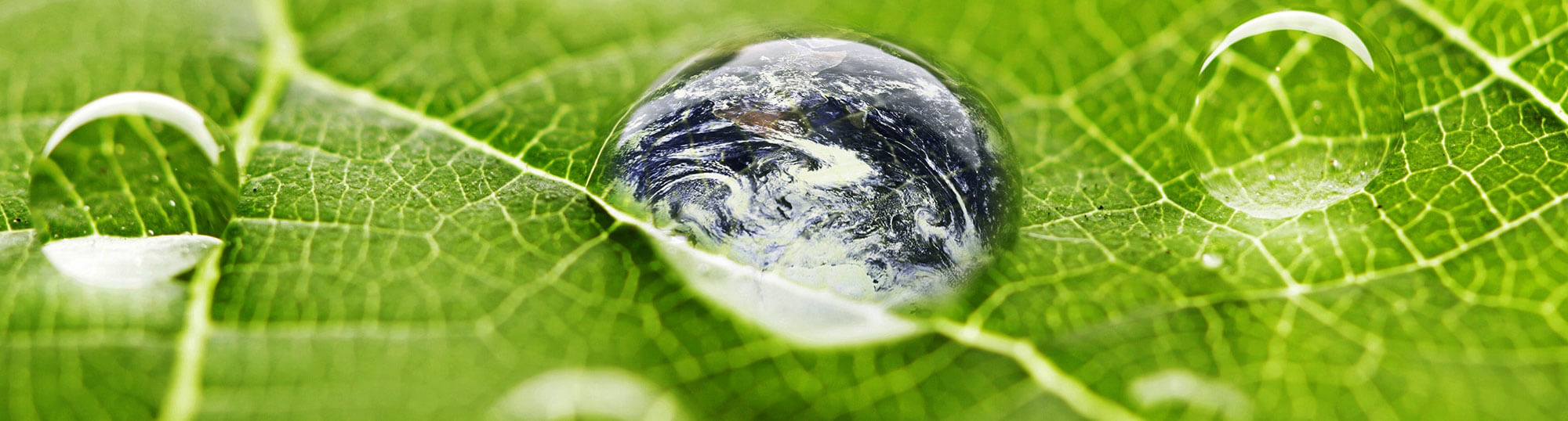 ESG Strategy and Sustainability Committee